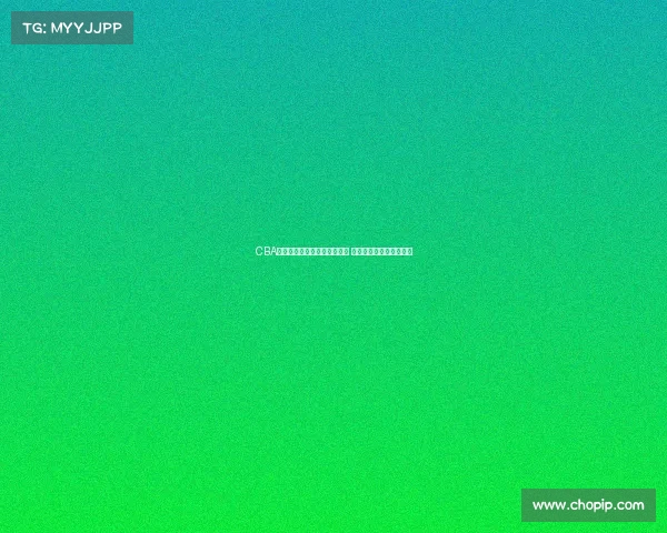 CBA各队阵容分析与球员表现对比 深度解析新赛季竞争态势